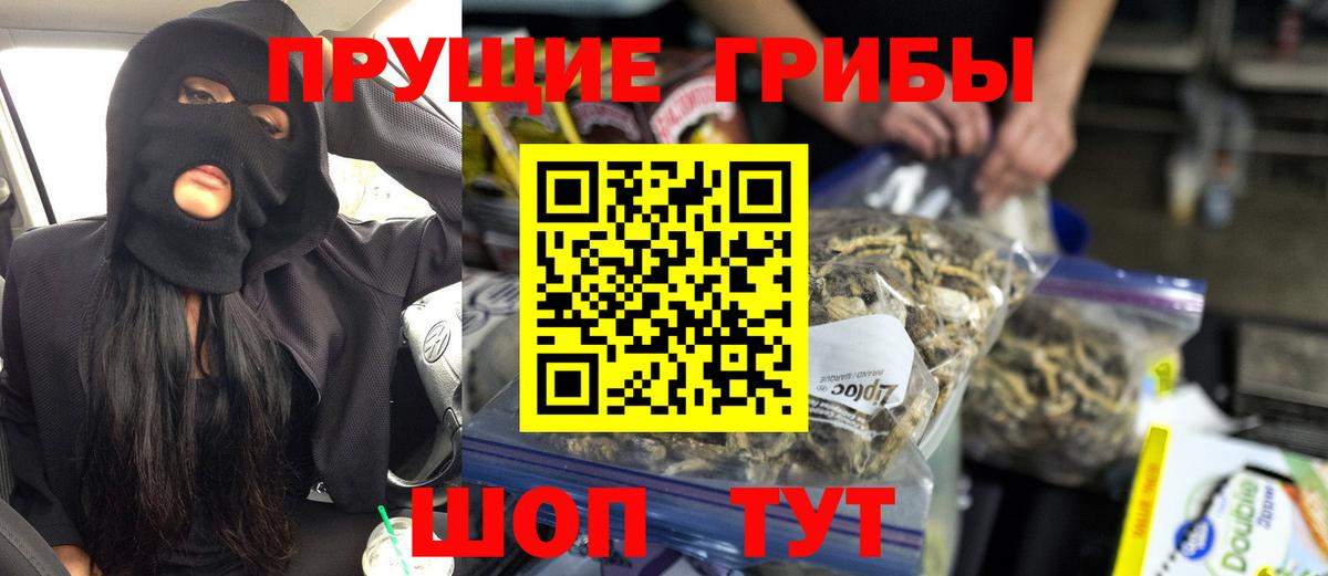 Псилоцибиновые грибы MAGIC MUSHROOMS  Вход с VPN  Славгород 
